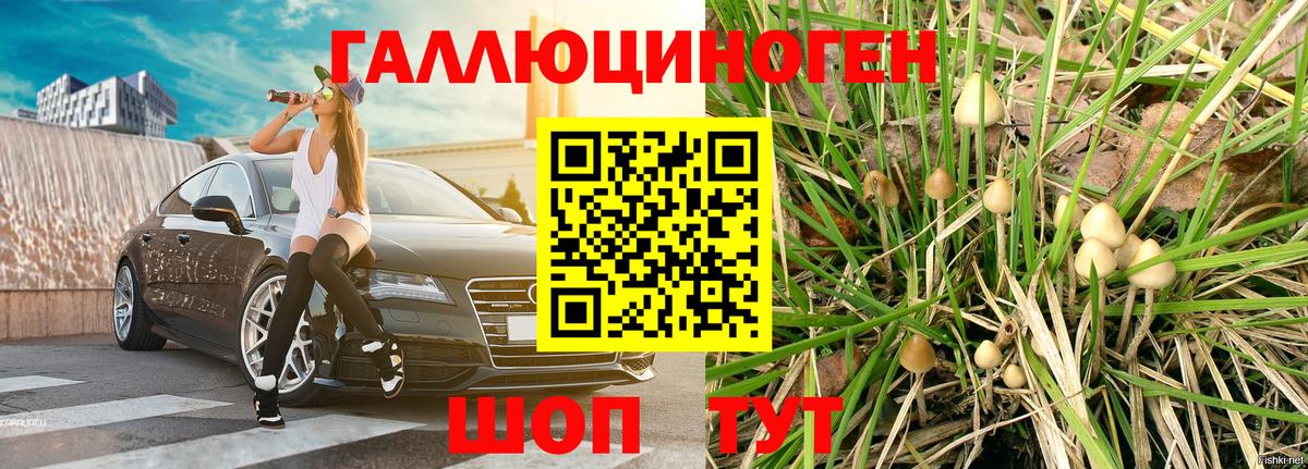 Галлюциногенные грибы Magic Shrooms  Вход с VPN  Галлюциногенные грибы ЛСД  Корсаков 