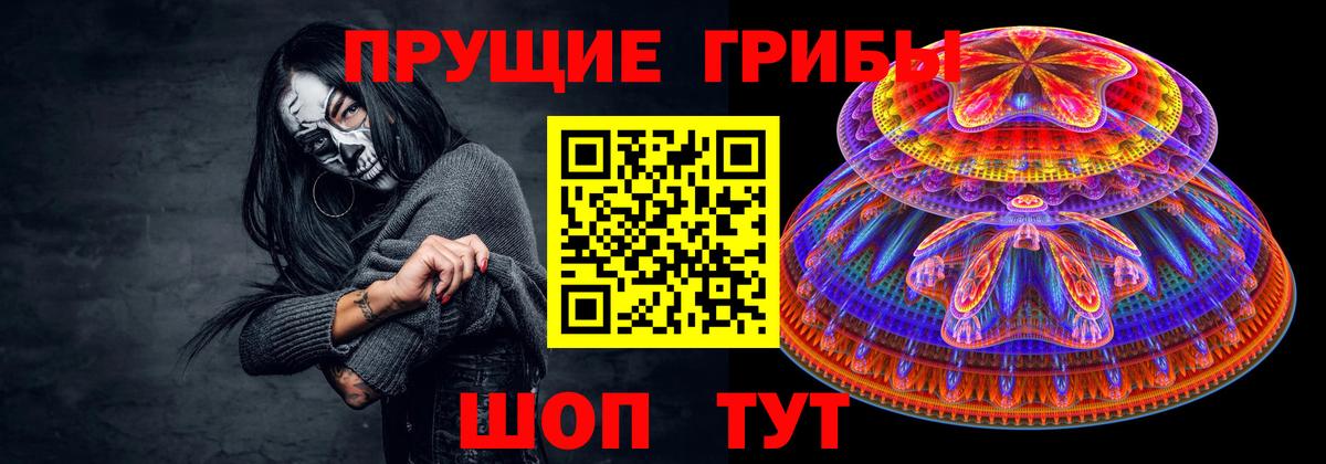 Псилоцибиновые грибы Psilocybe Корсаков